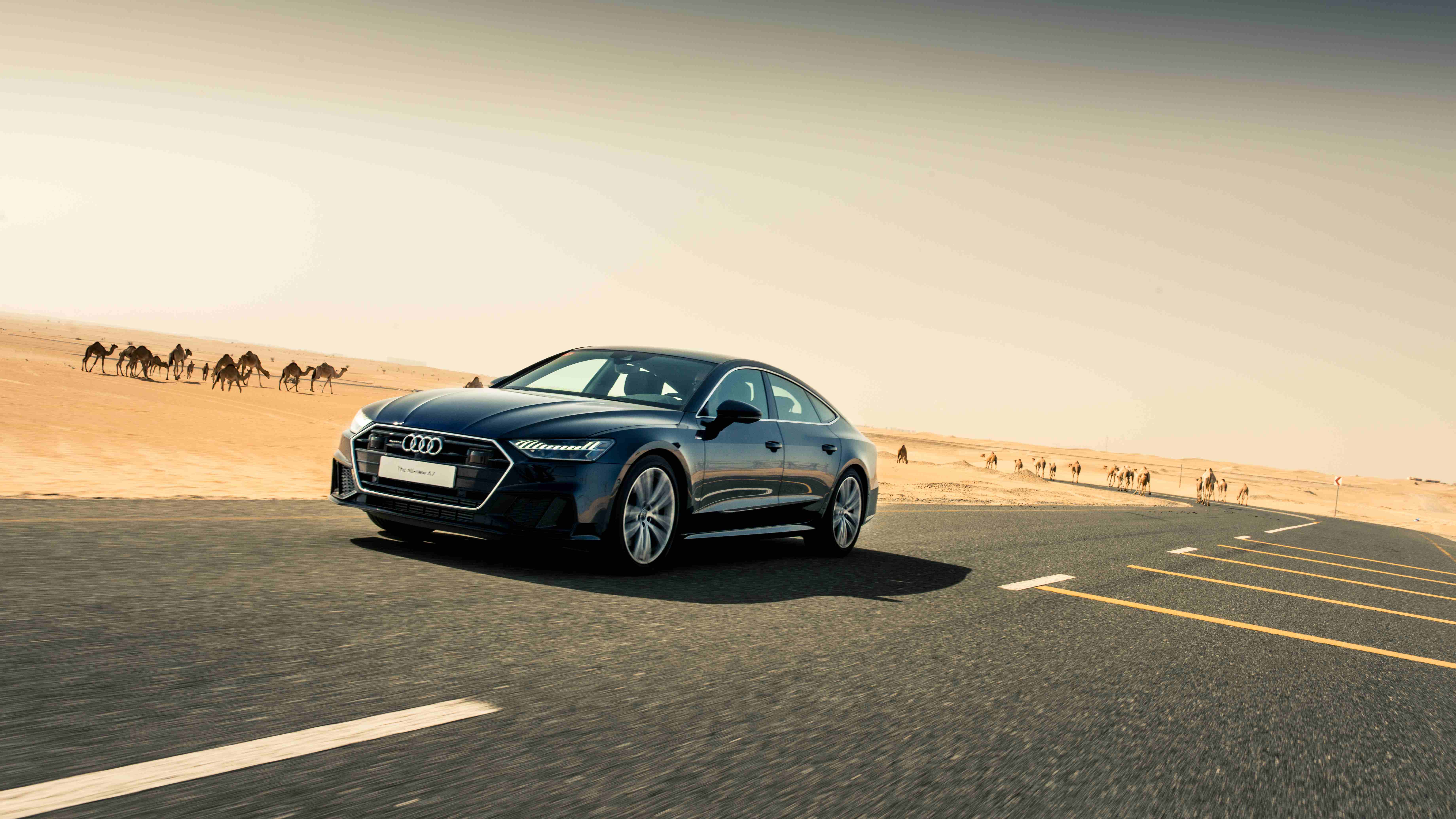 Audi Took Home the Most Titles at the Annual MECOTY Awards