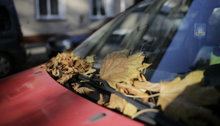 Drivers Urged to Clear Leaves From the Windscreen to Avoid Fines
