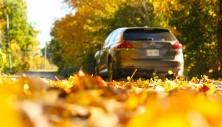 Expert Fall Car Care Tips You Can’t Ignore